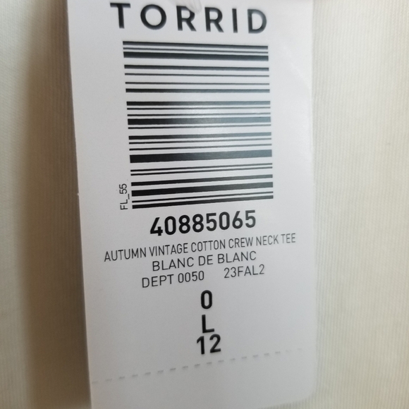 Torrid Autumn Breeze & Pumpkins Please Crew Neck Tee Shirt Large NWT - Picture 5 of 5